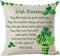 Happy St. Patrick's Day Green Potted Plant Clovers Heart Quote Irish Blessing Throw Pillow Cover Case
